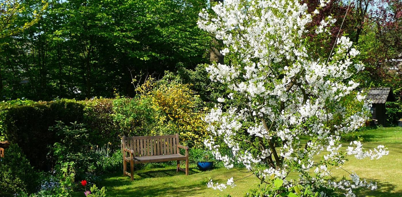 Engelse tuinen voorbeelden, ideeën & foto's bekijken  Slimster